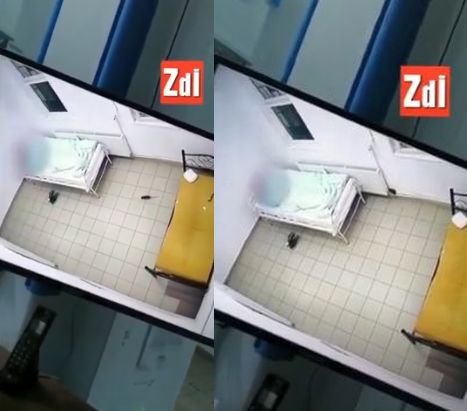  (VIDEO) Şobolan, filmat într-un salon la Spitalul Socola. Anchetă internă