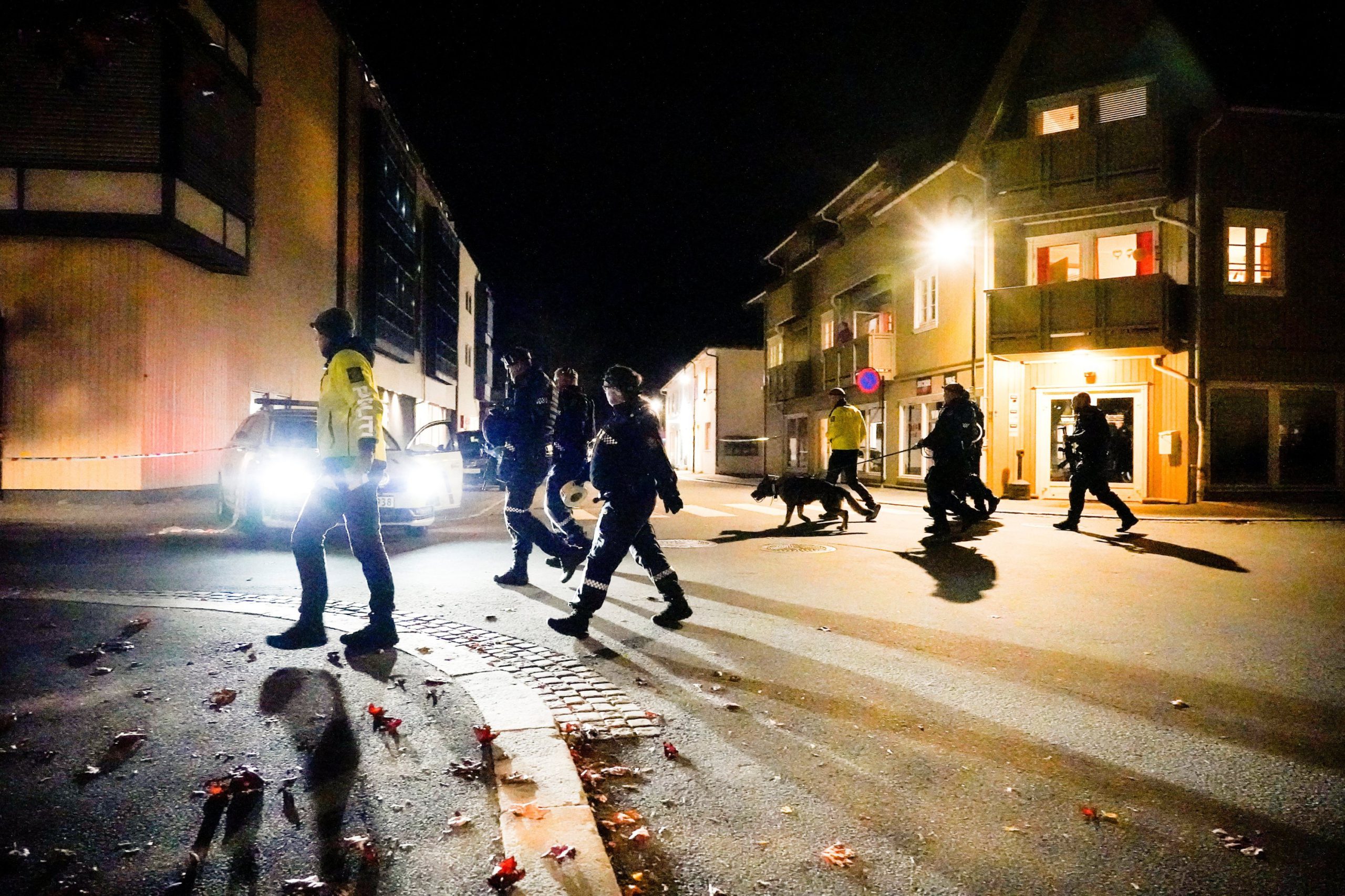  Mai mulți morți și răniți, după un atac cu un arc și săgeți, în Norvegia
