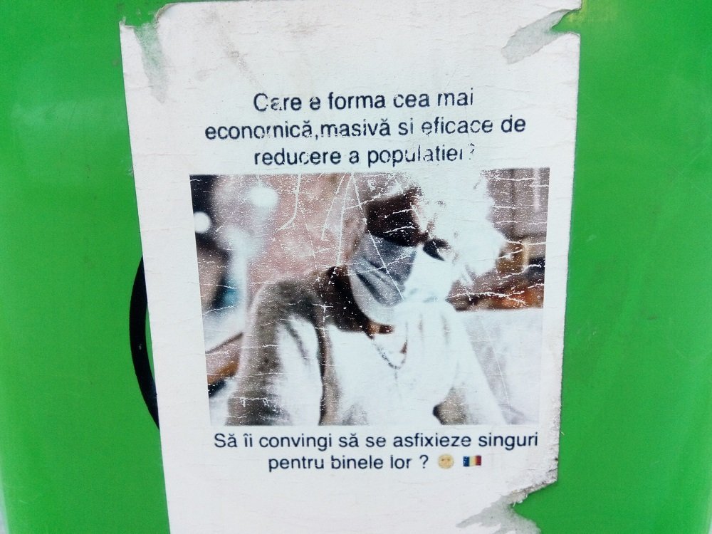  FOTO: Mesaje conspiraționiste până și pe coșurile de gunoi din Iași