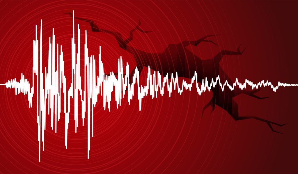  Cutremur de mare adâncime în Vrancea
