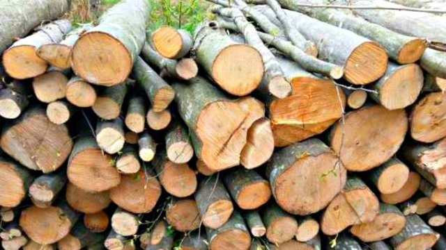  Preţul lemnului de foc s-a dublat! Care sunt principalele cauze ale acestei scumpiri