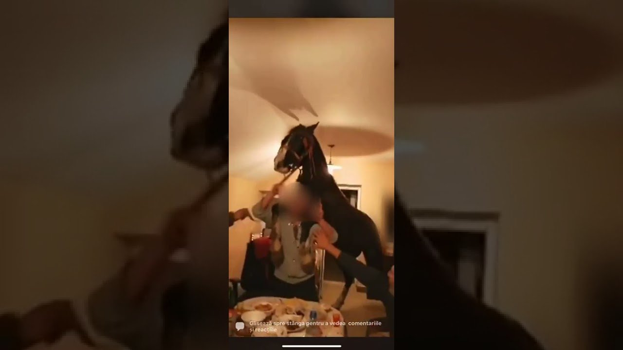  (VIDEO) Un cal participă la o petrecere cu manele într-un imobil din Călăraşi