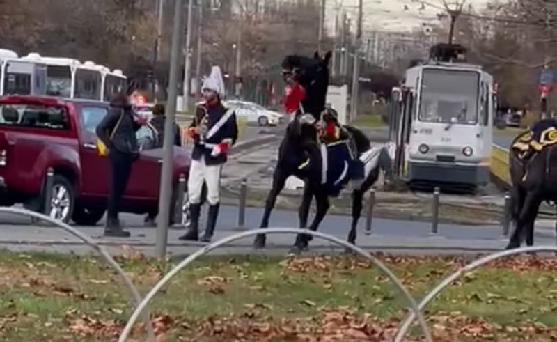  Video viral: Jandarm filmat în timp ce cade de pe cal, înaintea paradei de 1 Decembrie