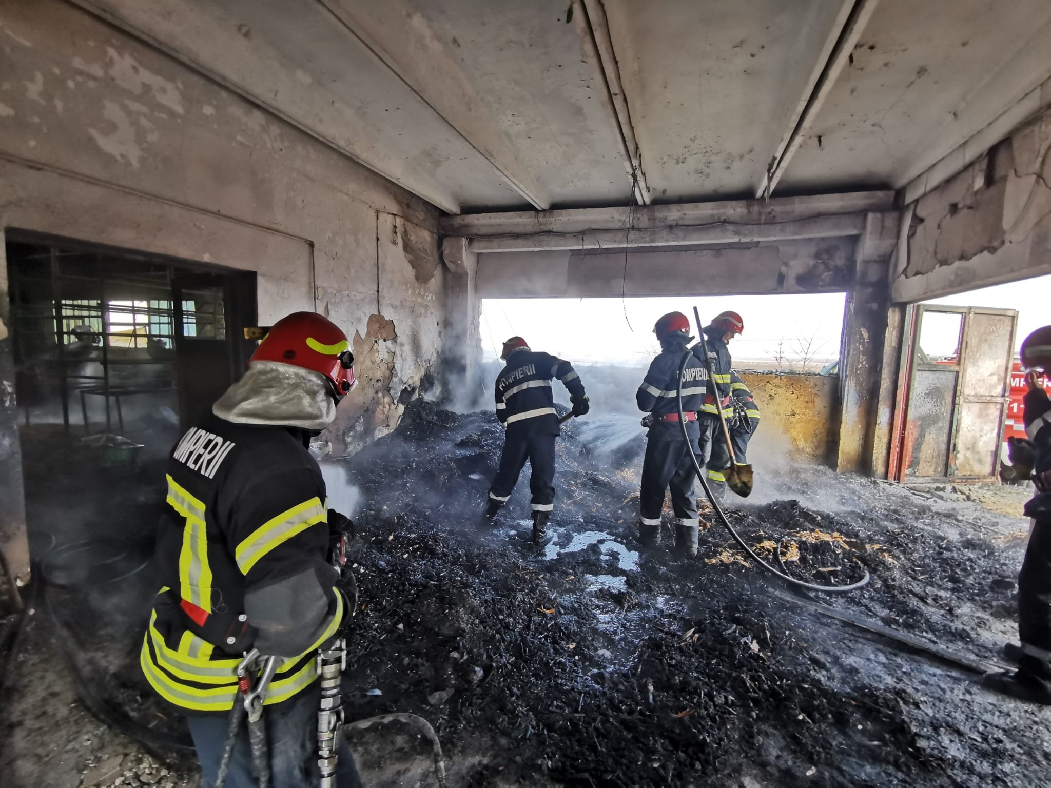  FOTO: Fabrică de peleți din județul Iași, mistuită de flăcări. S-a făcut scrum