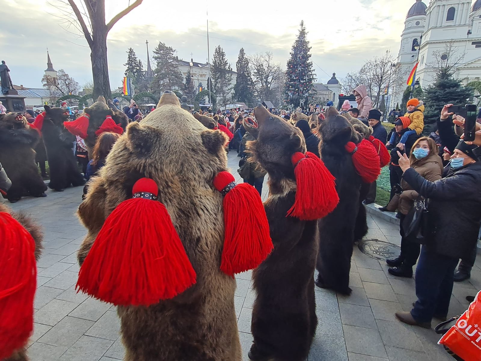  VIDEO: Cete de colindători și urși jucăuși la Primăria Iași