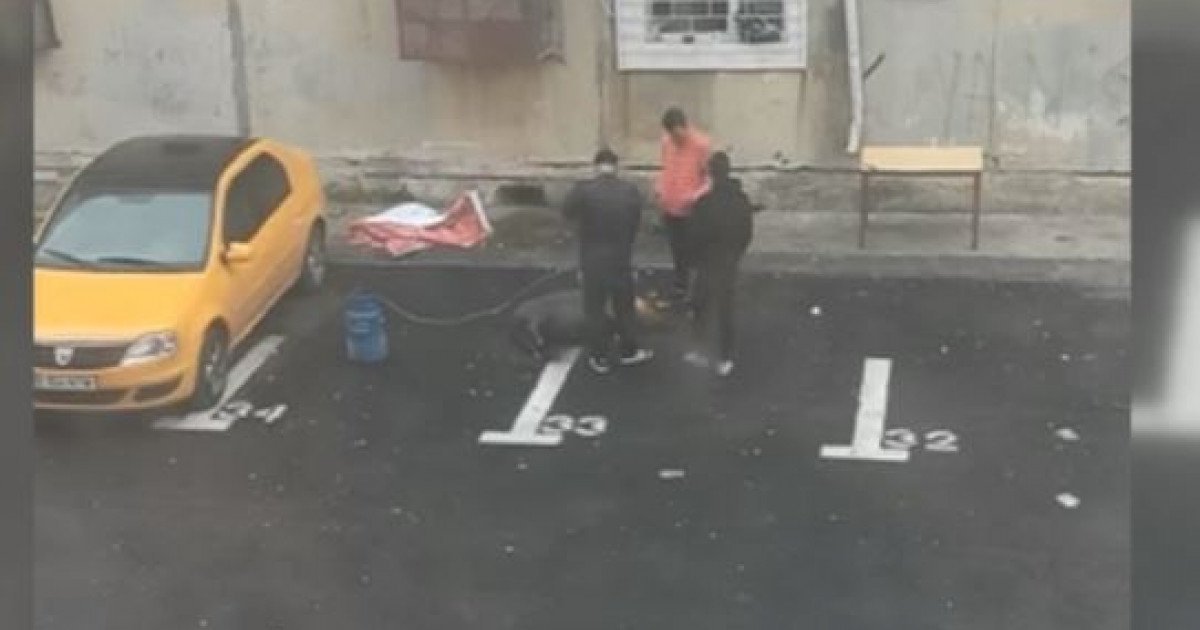  Mai mulți bărbați au tăiat un porc în parcarea unui bloc și l-au pârlit între mașini