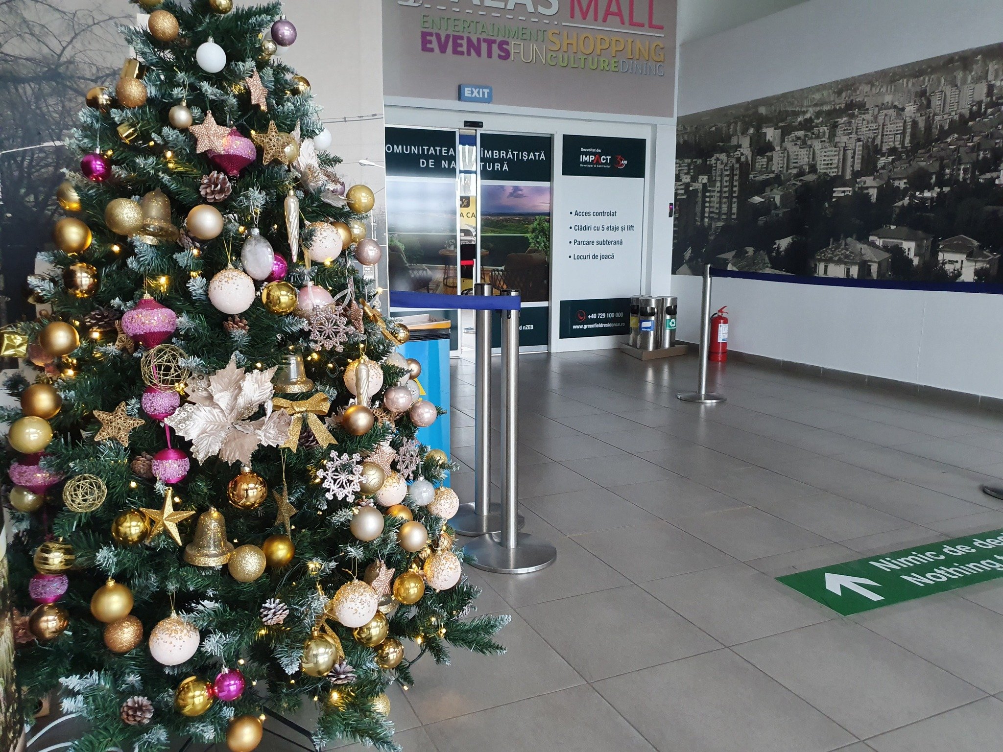  FOTO: Cum a fost decorat Aeroportul Iași pentru sărbătorile de iarnă
