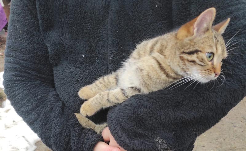  Voluntarii-pompieri din Ciurea au salvat o pisică dintr-un puț adânc de 12 metri