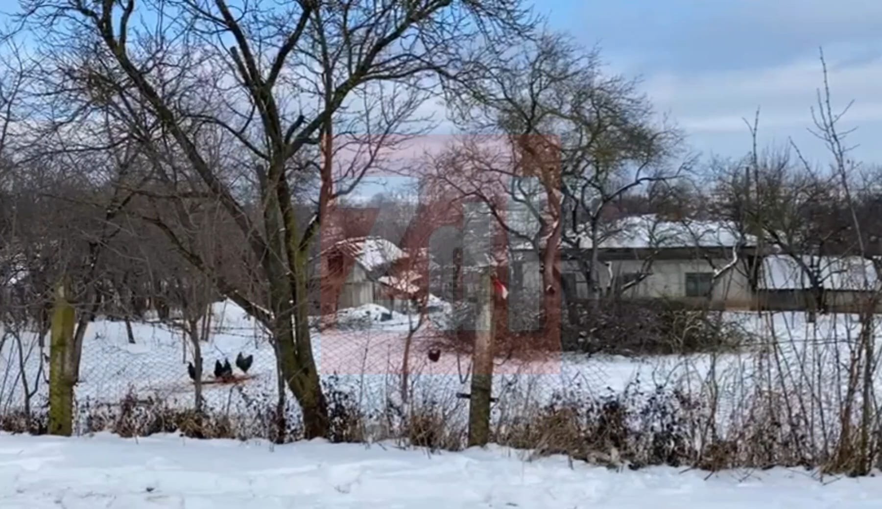  Un bărbat din Ruginoasa şi-a decapitat mama, iar apoi i-a aruncat corpul în grădină (FOTO-VIDEO)