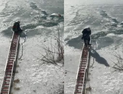  (VIDEO) Momentul în care un căţel e salvat din râul Siret. Scos îngheţat bocnă, patrupedul şi-a revenit