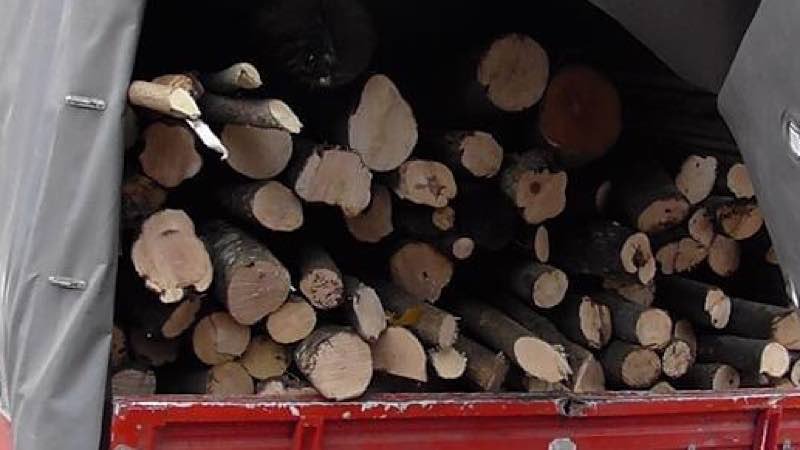  Prins în trafic cu 4 mc de lemn de foc fără acte: marfă confiscată