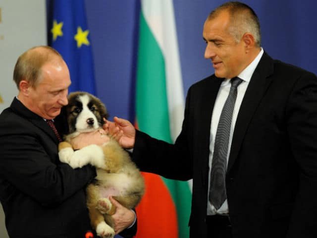  În patru zile, Putin şi-a pierdut jumătate din popularitate în Bulgaria