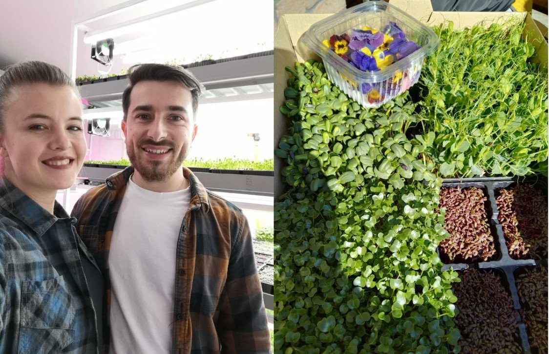  Doi tineri antreprenori din Iaşi vor să dea lovitura cu flori comestibile si microplante