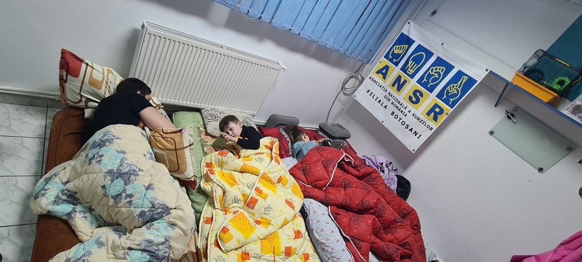  Peste 50 de refugiați surzi au ajuns la Botoșani. Unii au venit cu animalele