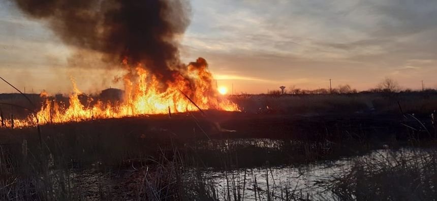  Un kilometru de incendiu de vegetație uscată la Mogoșești