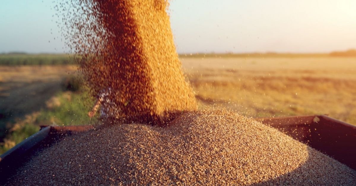  România a devenit peste noapte lider european la exportul de cereale