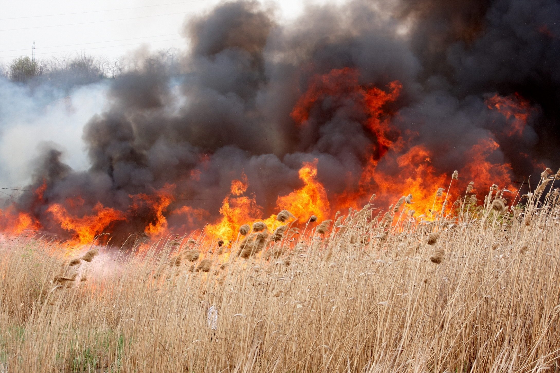  Bărbat descoperit carbonizat după ce pompierii au stins un incendiu de vegetaţie