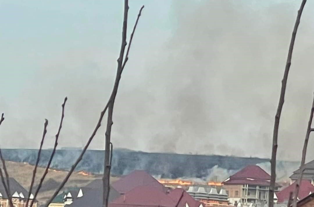  Incendiu de vegetaţie uscată în zona Zanea. Intervin mai multe autospeciale de stingere