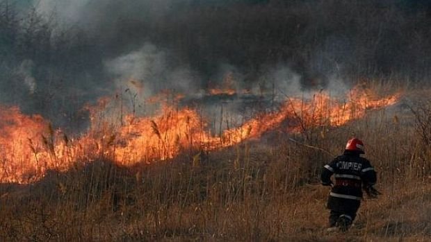  Ard 100 de hectare de vegetatie uscata la Vlădeni