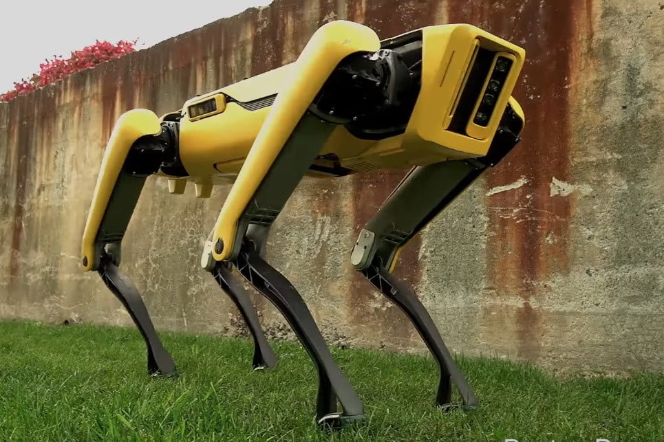  Un câine robot va monitoriza starea lucrărilor și siguranța sitului arheologic Pompeii
