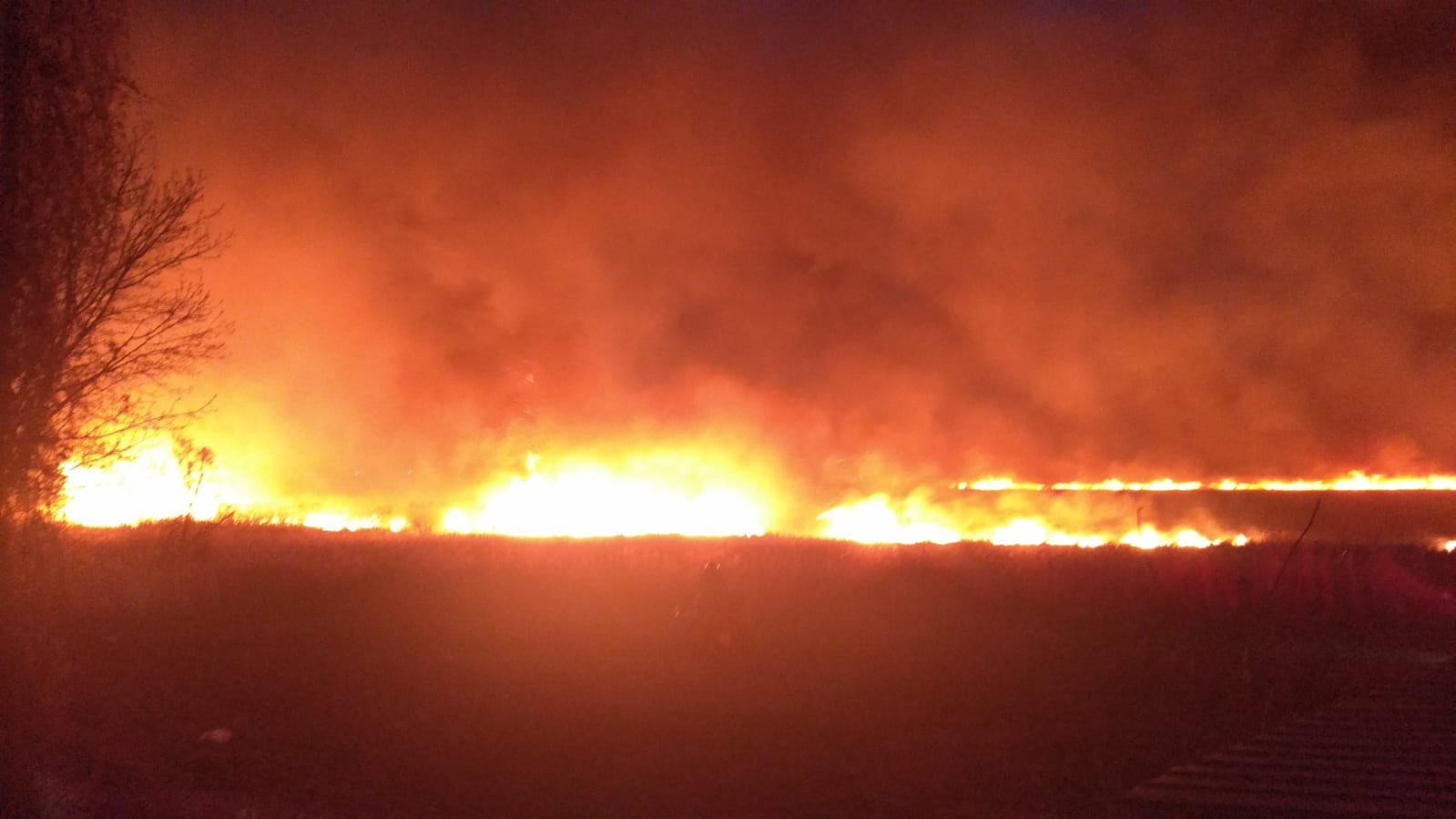  IMAGINI: Focul înghite vegetația de pe câmpurile din Dumbrava și se apropie de case