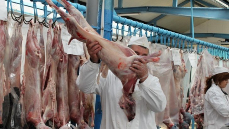  Masa de Paşte: Veterinarii atrag atenţia asupra traficului cu carne de câine, în loc de miel