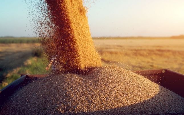  Ucraina impune restricţii la transporturile de cereale pe calea ferată către România