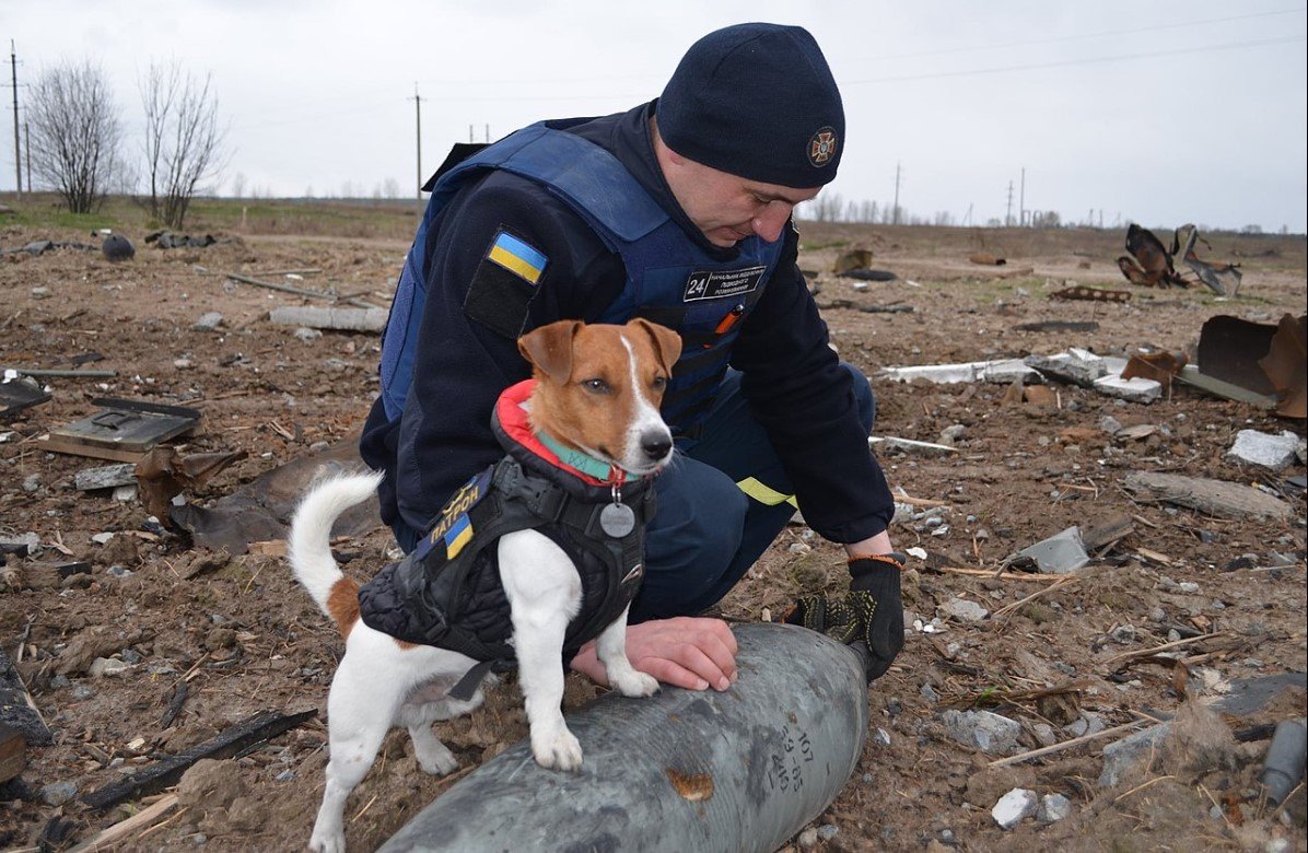  Patron, câinele care a ajutat la găsirea de mine lăsate de ruşi, decorat de preşedintele Ucrainei