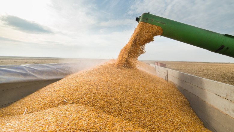  Ucraina a exportat peste 1 milion de tone de cereale în aprilie. Kievul mulţumeşte României