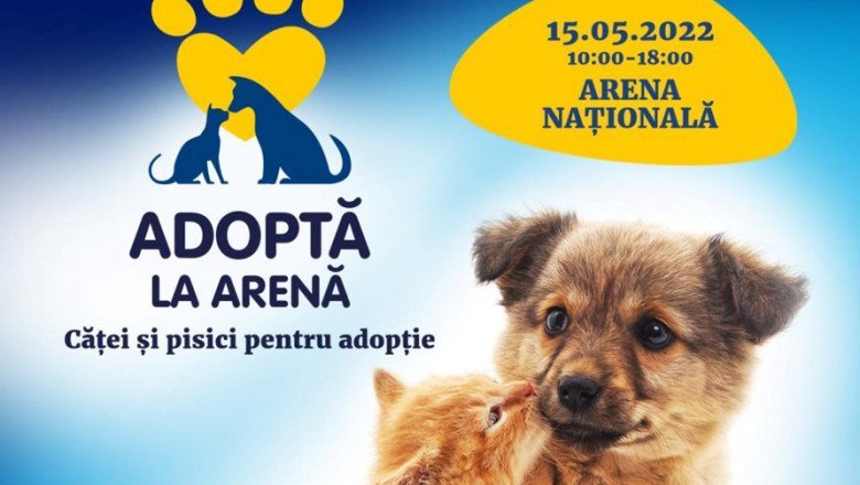 „Adoptă la Arenă!”. Campanie de adopție de căței și pisici pe Arena Națională