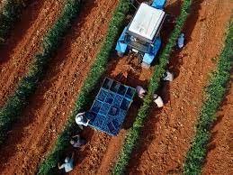  Iohannis a promulgat legea prin care salariul de bază minim brut în domeniul agricol va fi de minimum 3.000 lei lunar