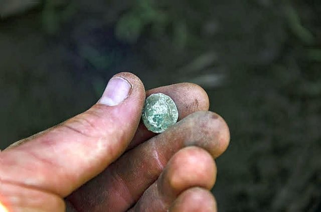  Timiş: Peste 400 de monede de argint din secolul al XVI-lea, descoperite pe un câmp