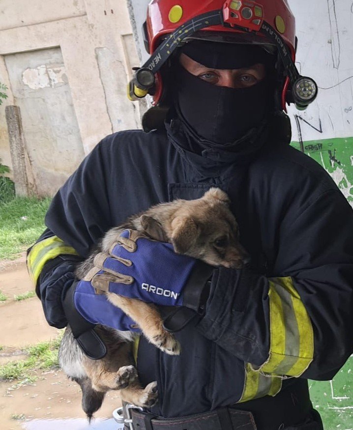  Pui de câine, care risca să se înece în ape reziduale, salvat de pompieri din subsolul unui bloc