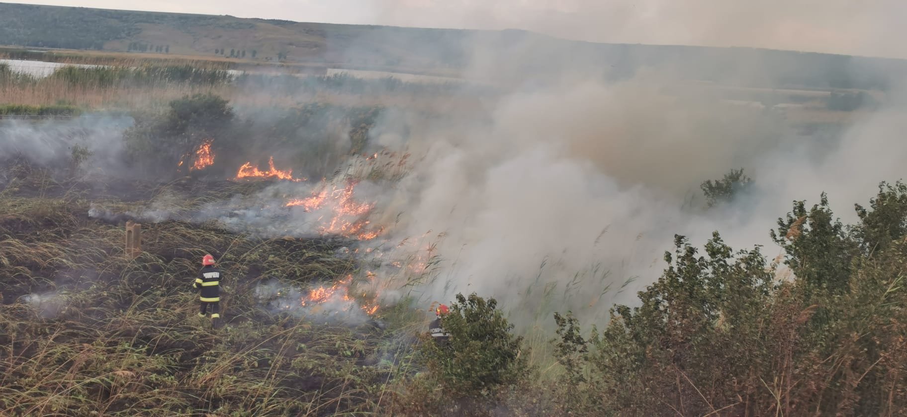  Incendiu pe o suprafaţă de 20 de hectare de teren în localitatea Larga Jijia (FOTO)