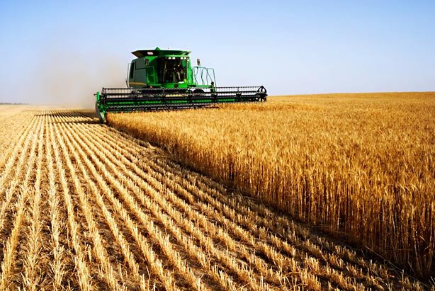  Care secetă? România se aşteaptă la un excedent consistent de cereale anul acesta