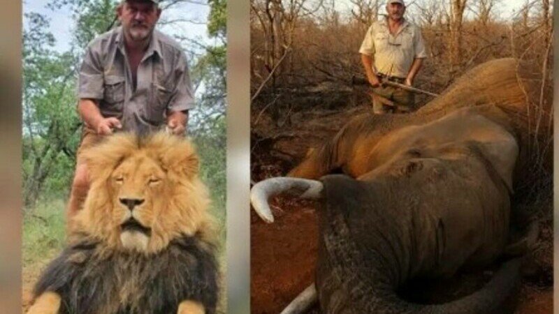  Vânător de trofee, care a ucis lei și elefanți, găsit împușcat lângă mașina sa