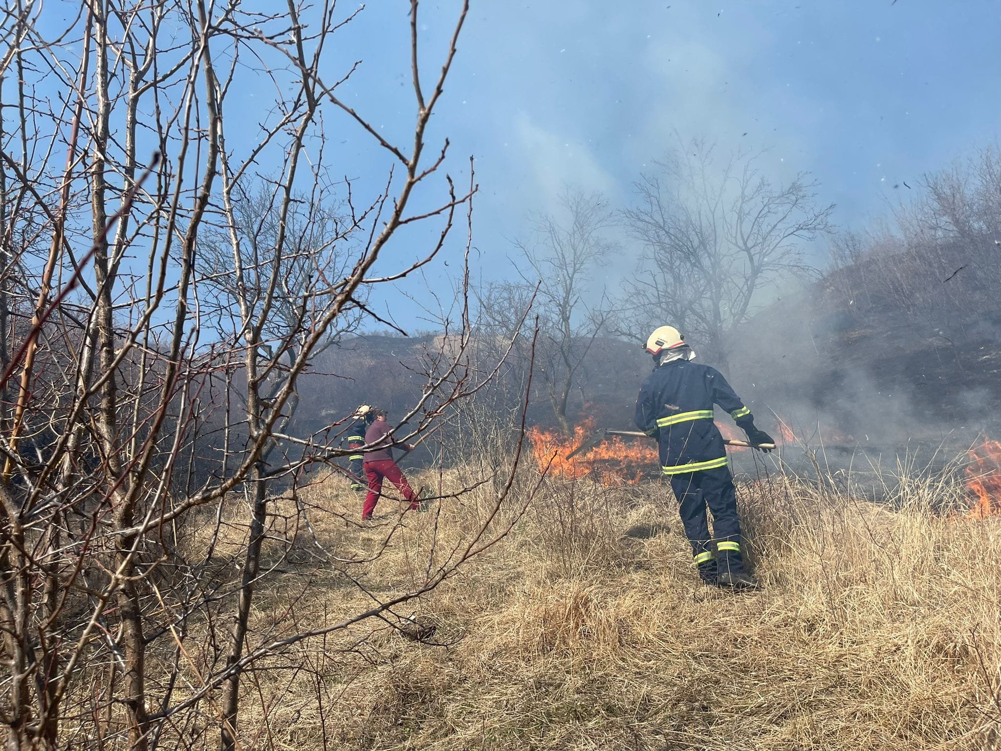  Zeci de hectare de pădure au fost arse în Sihlea, judeţul Vrancea, arse din cauza unui incendiu