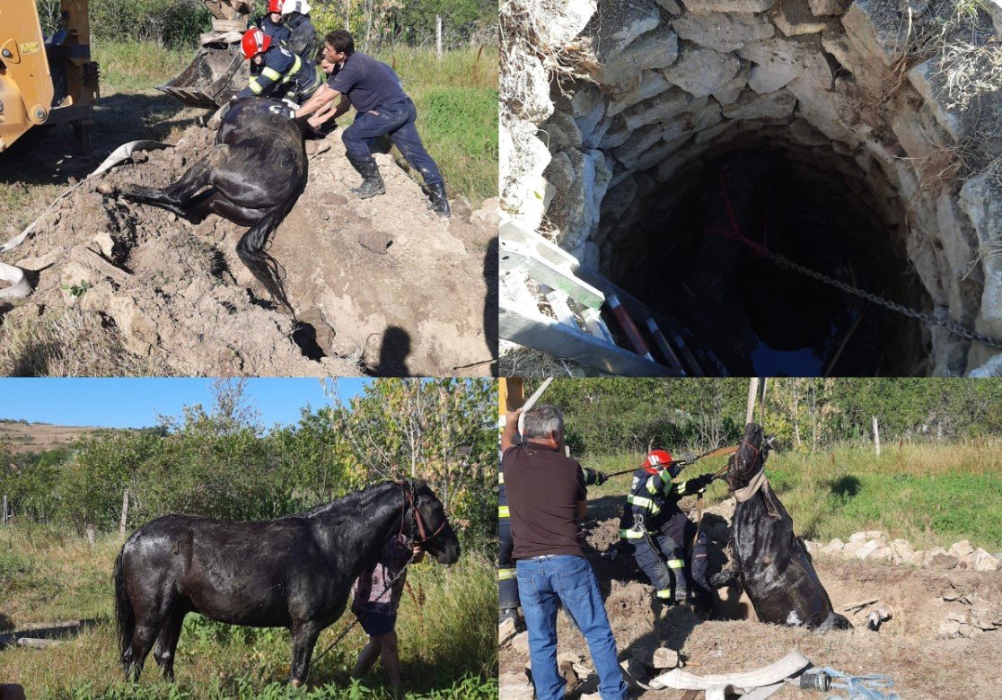  FOTO – Cal căzut într-o fântână la Horleşti, salvat cu ajutorul pompierilor