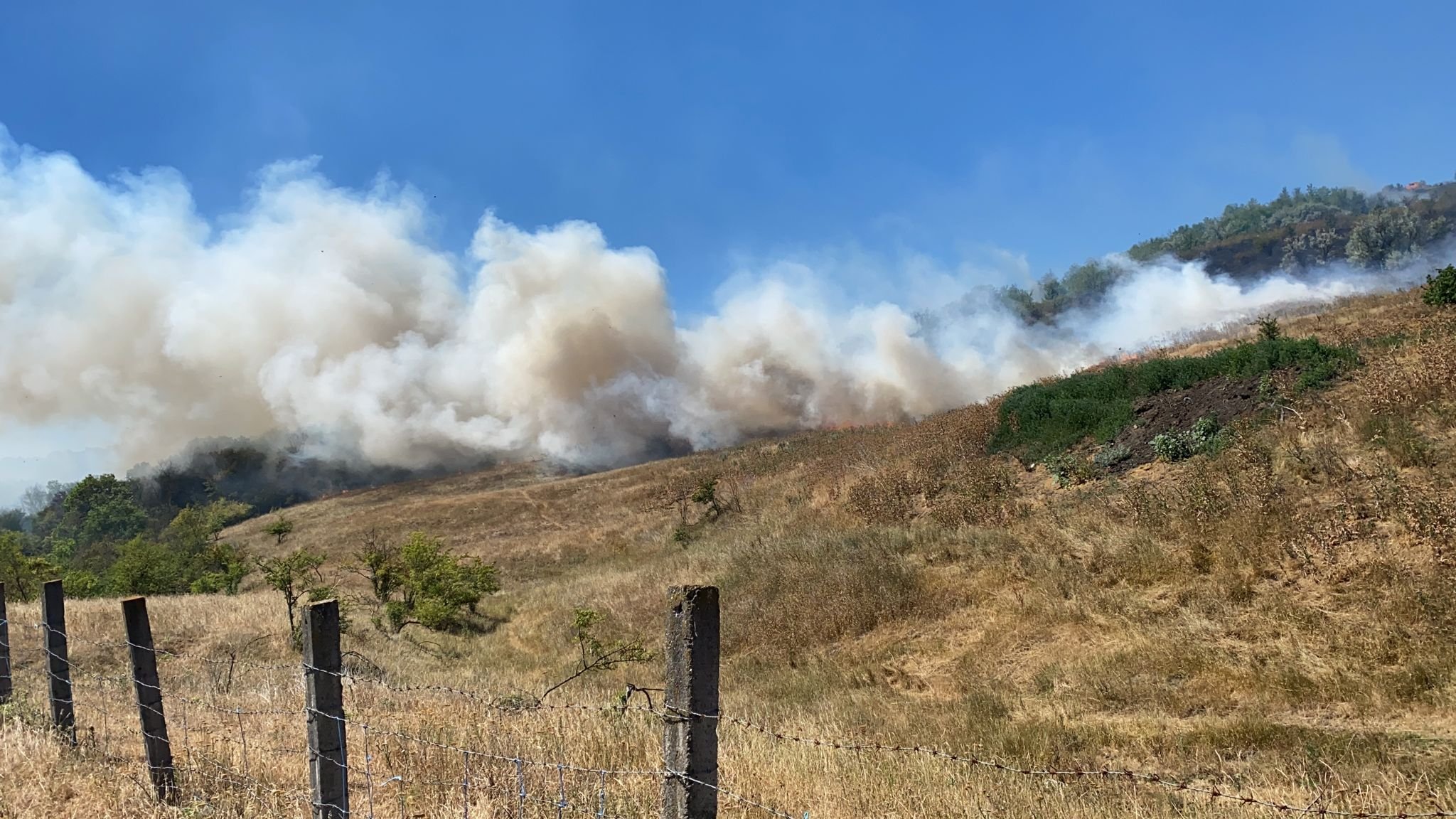  Femeie descoperită arsă pe un câmp cuprins de flăcări, în Miroslava (FOTO)