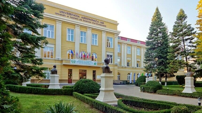  USV Iași a finalizat cu succes admiterea de vară 2022