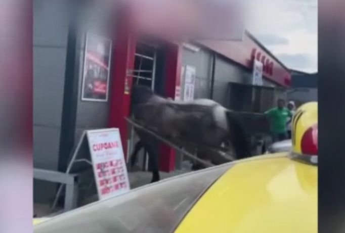  Se întâmplă la Suceava: Un bărbat a intrat cu calul şi căruţa în supermarket
