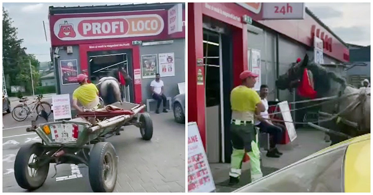 VIDEO Protest inedit împotriva polițiștilor leneși: cu calul și căruța printre rafturi la supermarket