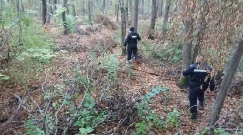  Un bărbat care a plecat în pădure să culeagă fructe a fost găsit mort