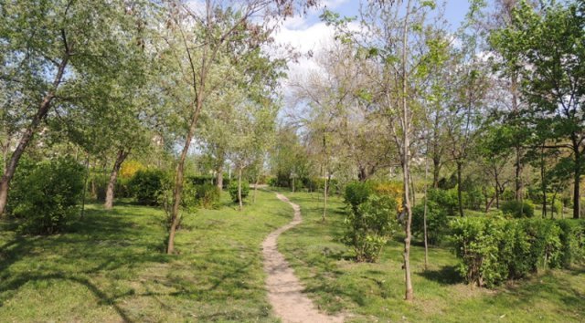  PLAN- 10 milioane de euro pentru reabilitarea a 10 ha de spaţiu verde în municipiul Iaşi. Care vor fi noile parcuri ale oraşului