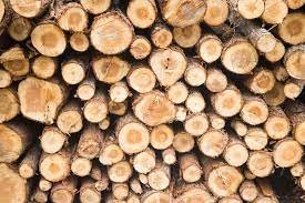  Tanczos Barna, ministrul Mediului, susţine că OUG privind plafonarea preţurilor la lemn va fi adoptată săptămâna aceasta