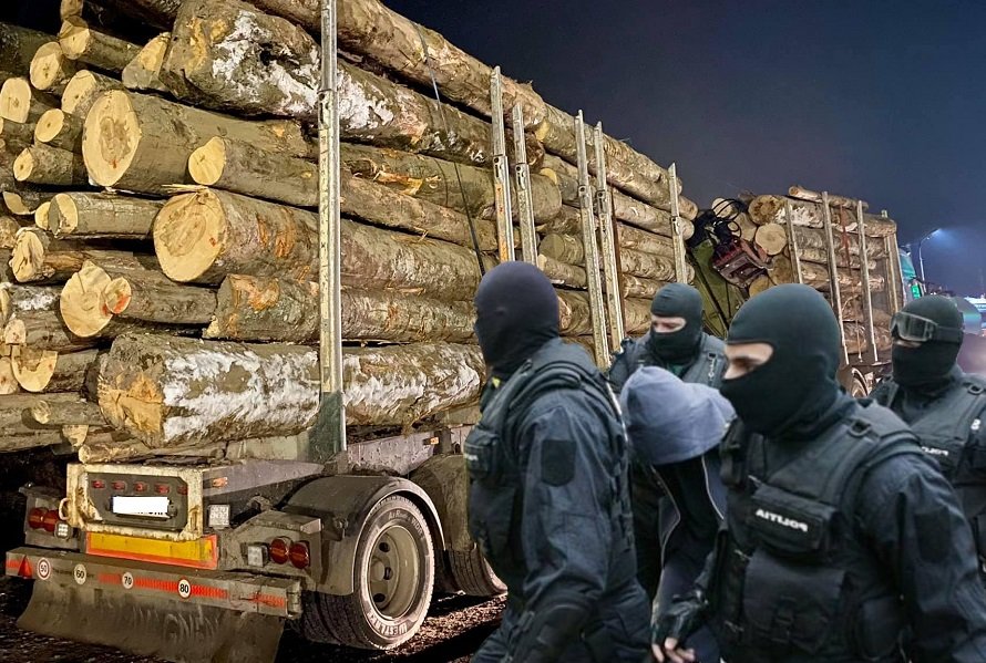  Mafia lemnului: Percheziţii la mai multe ocoale silvice din Iaşi