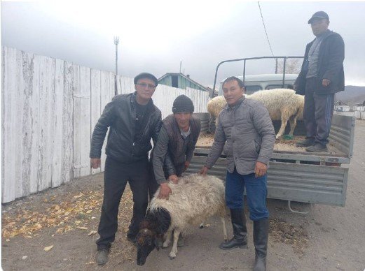  Familiile recrucţilor din regiunea unde s-a născut Serghei Şoigu vor primi câte o oaie, varză şi doi saci de cartofi