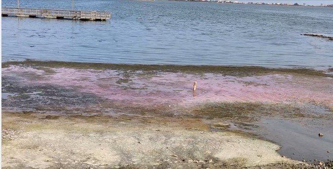 Fenomen bizar la Constanţa. Apa Lacului Techirghiol s-a colorat în roz