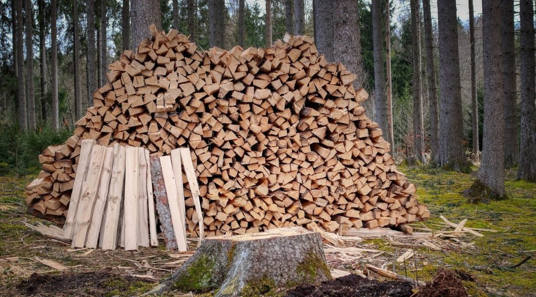  Preţul lemnelor de foc a fost plafonat, dar acestea au dispărut de pe piaţă. Se vor înmulţi furturile din păduri?