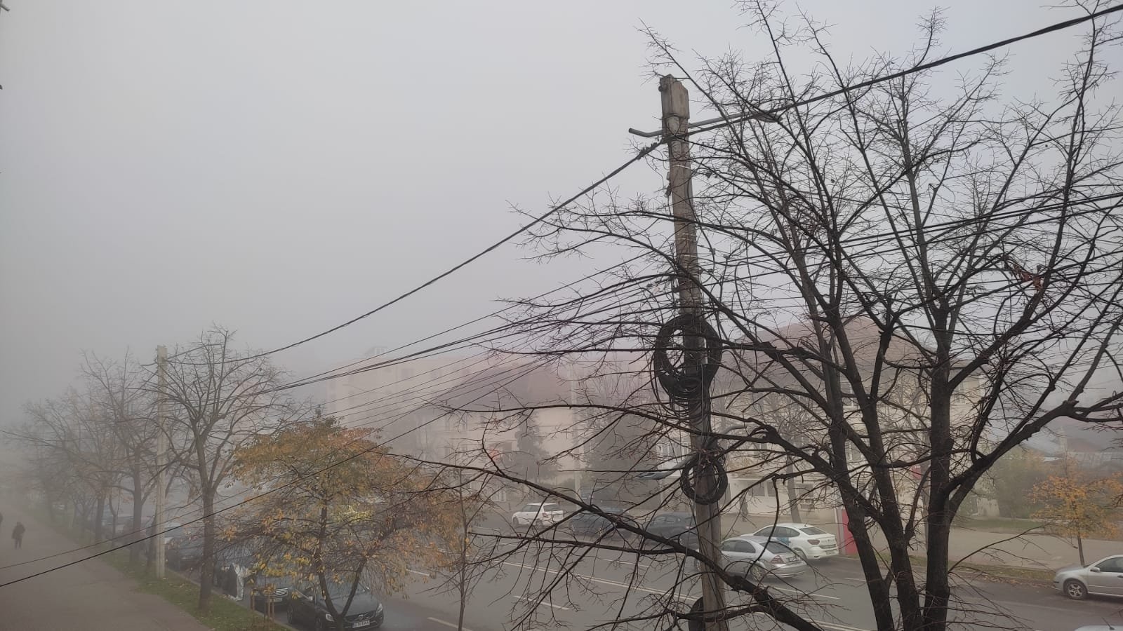  Ceață în Iași! Aveți grijă cum circulați